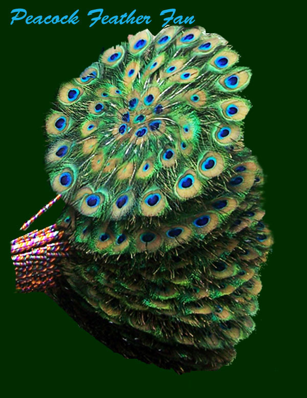 Peacock feather fan exporter in India