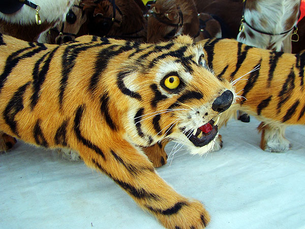 Tiger crafts